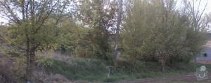 výrub