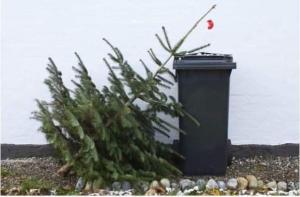 Kam s vianočným stromčekom